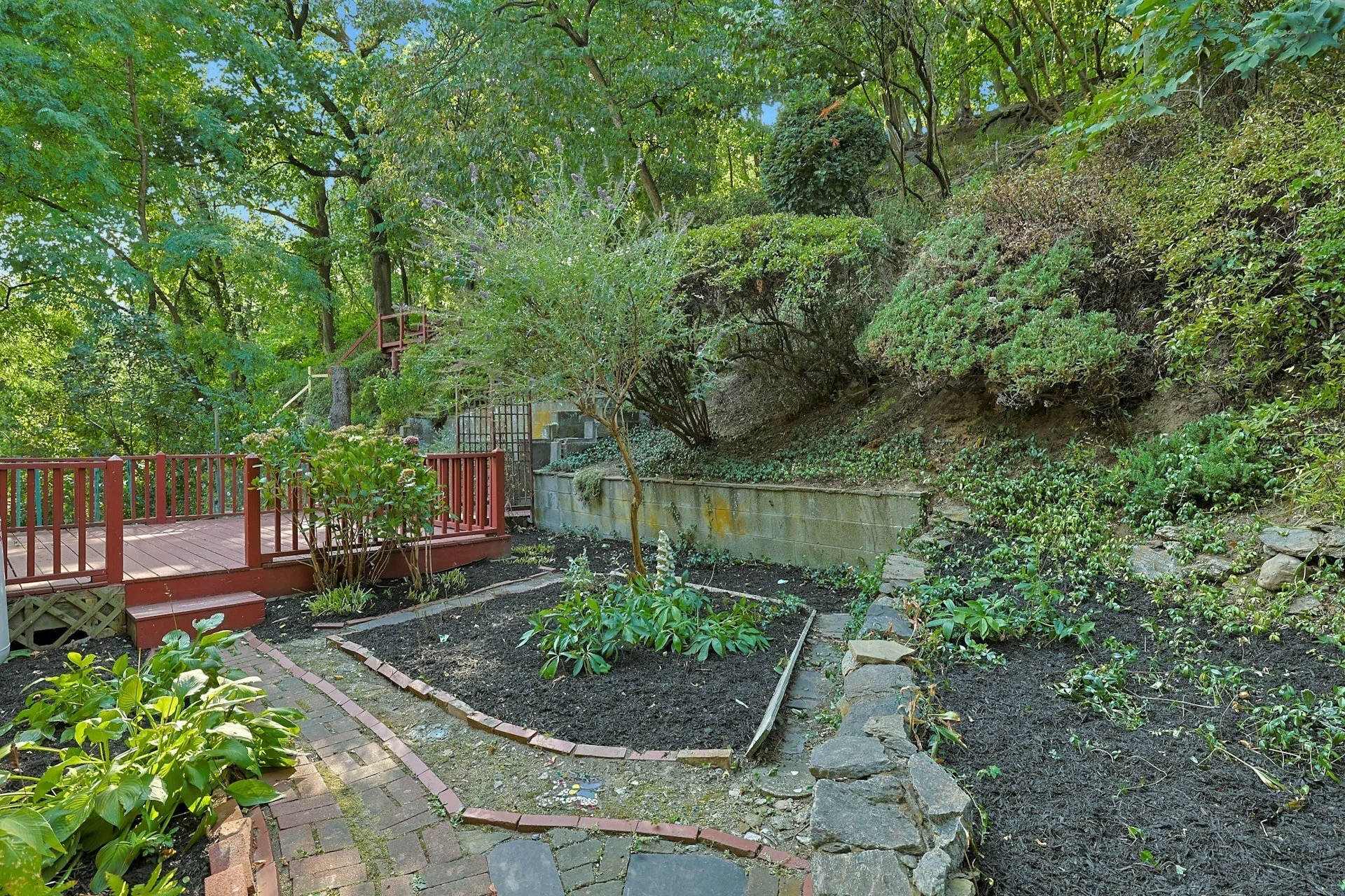 Gallery photo 7