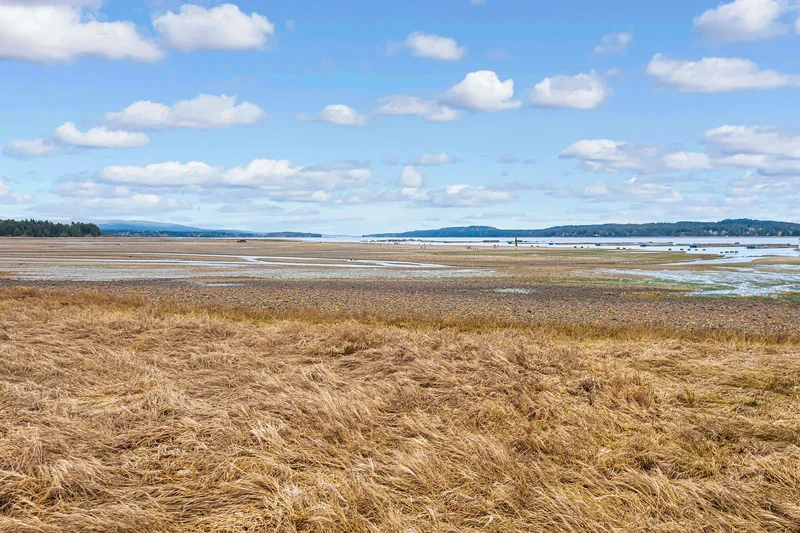 Lot 13 Island Highway West, Bowser, BC V0R 1G0, Nanaimo, British Columbia, Canada. - Photo 16