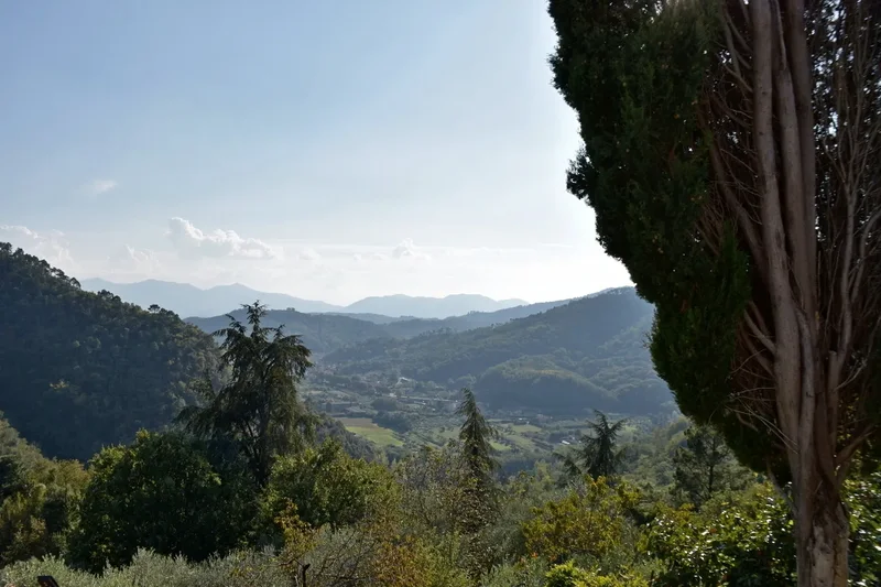55100 Pieve di Brancoli, Province of Lucca, Italy, Pieve di Brancoli, Tuscany, Italy. - Photo 35