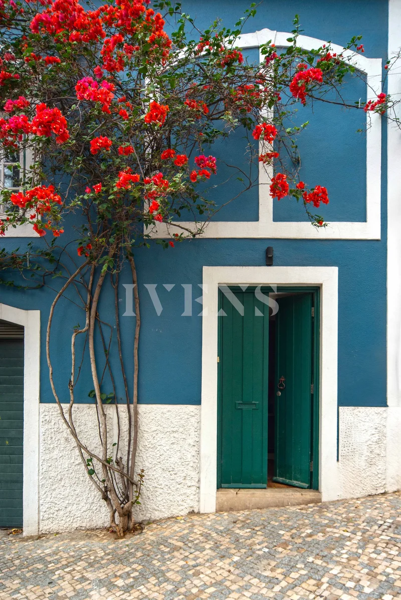 Príncipe Real, Lisbon, Portugal, Santo Antonio, Lisbon, Portugal. - Photo 19