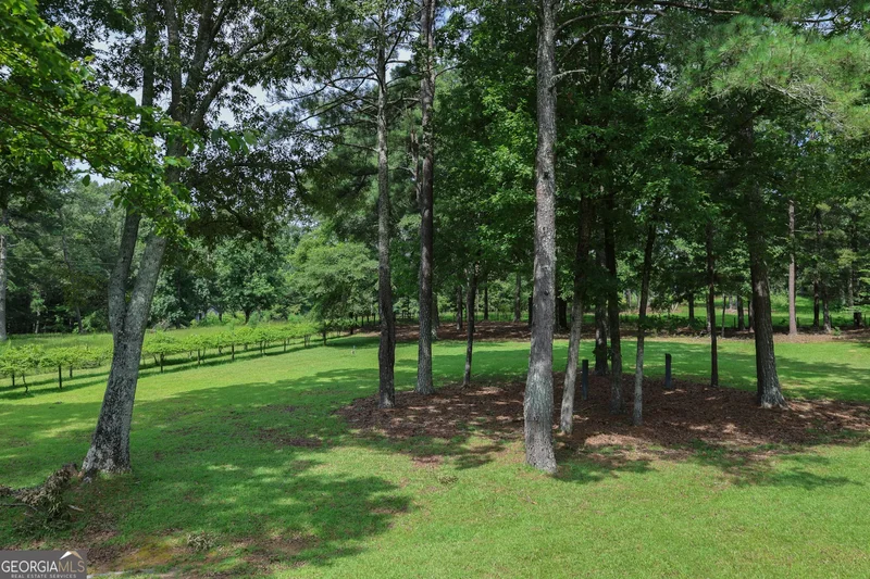 Fayetteville, Georgia, United States. - Photo 60