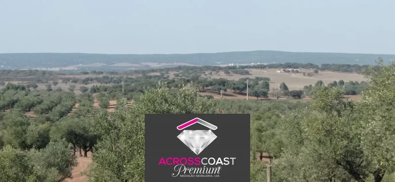 Portel, Évora, Portel, Évora District, Portugal. - Photo 17