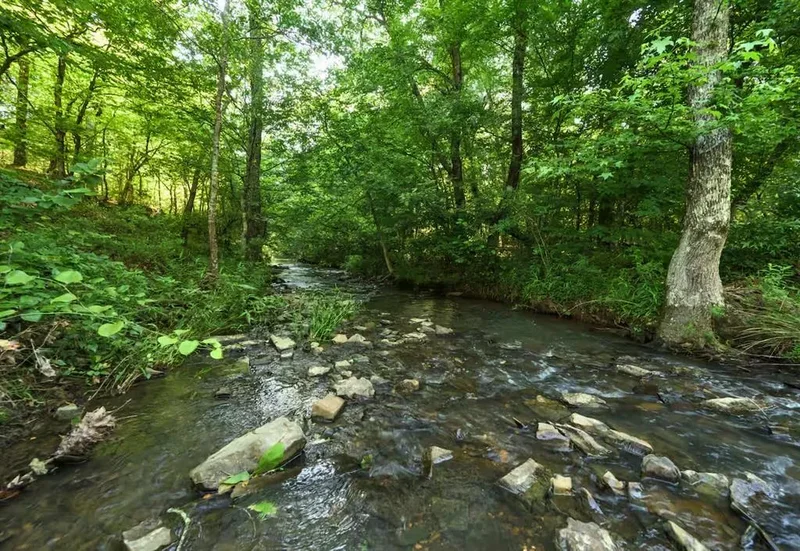 173 N Jones Ranch Road, Broken Bow, OK 74728, Broken Bow, Oklahoma, United States. - Photo 29