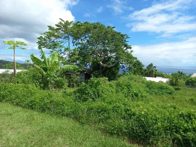 Mahina, Mahina, Māhina, Windward Islands, French Polynesia. - Photo 2