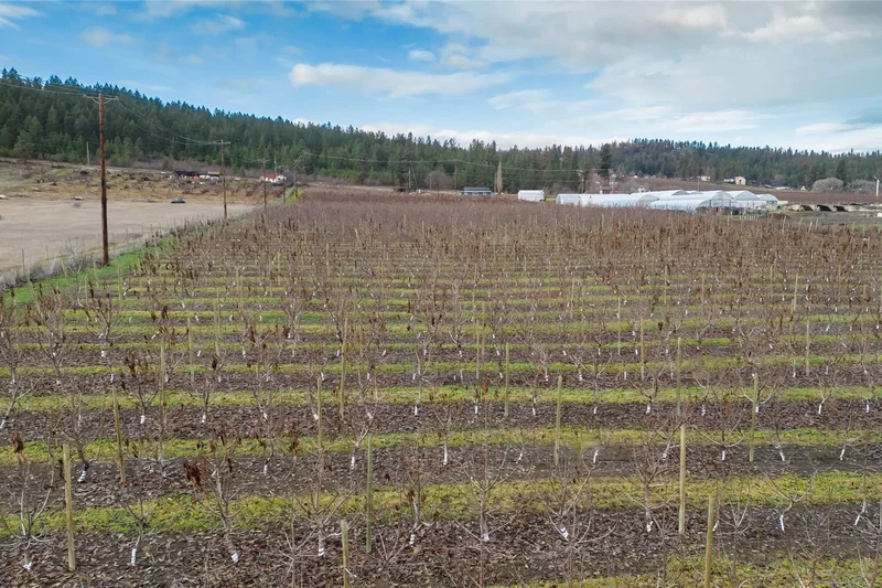 4295 Shanks Road, Kelowna, BC V4V 1M3, Kelowna, British Columbia, Canada. - Photo 17