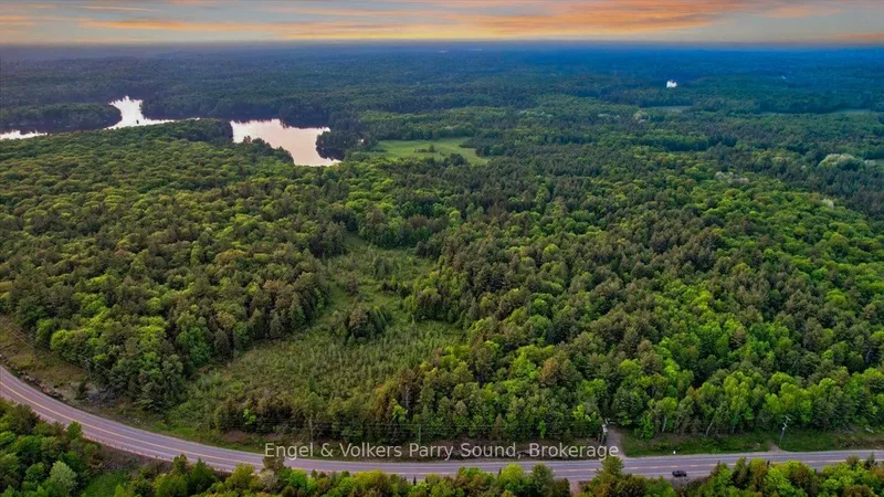 53 Birdwood Lane, McDougall, Ontario, Canada. - Photo 47