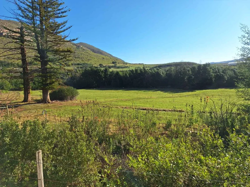 George, Western Cape, South Africa. - Photo 44