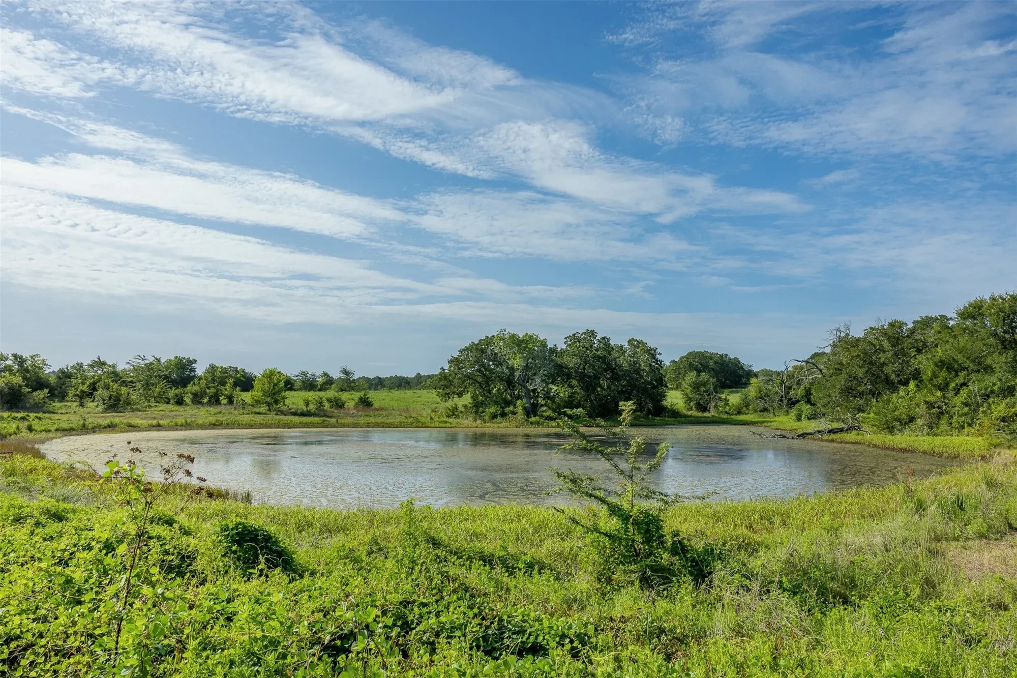 5107 Bovista Ranch Road, Navasota, TX 77868, Navasota, Texas, United States. - Photo 27