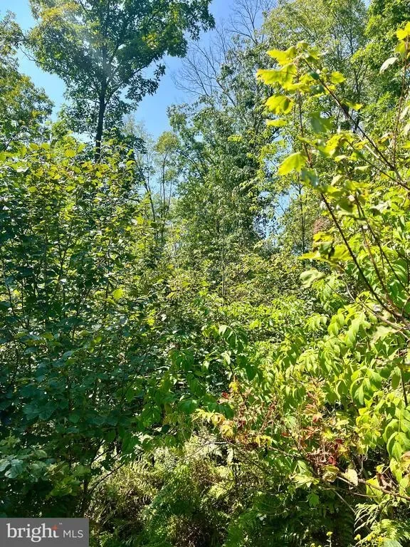 2500 BEECH CREEK MOUNTAIN RD ROAD, BEECH CREEK, PA 16822, Beech Creek, Pennsylvania, United States. - Photo 16