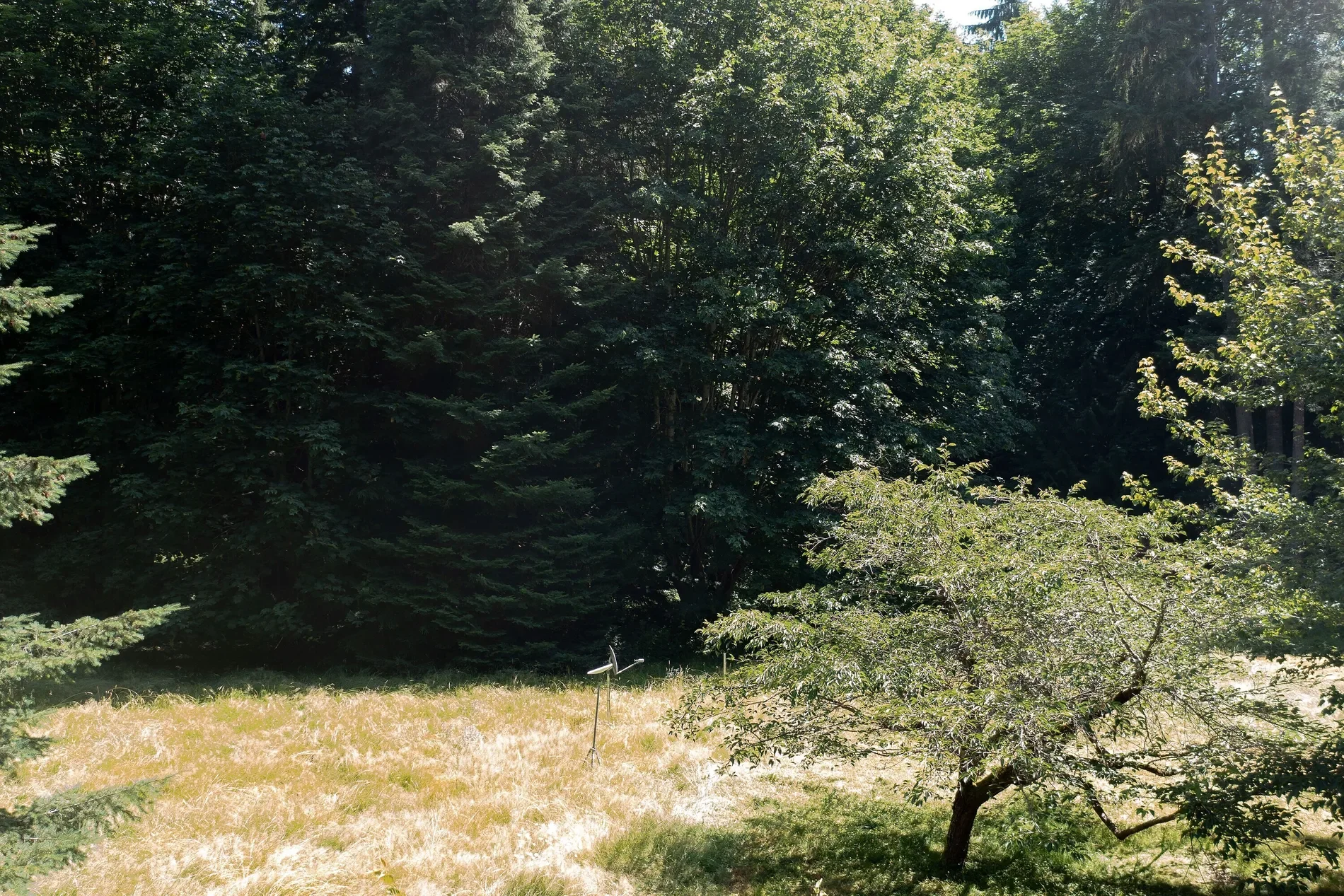 Gallery photo 10