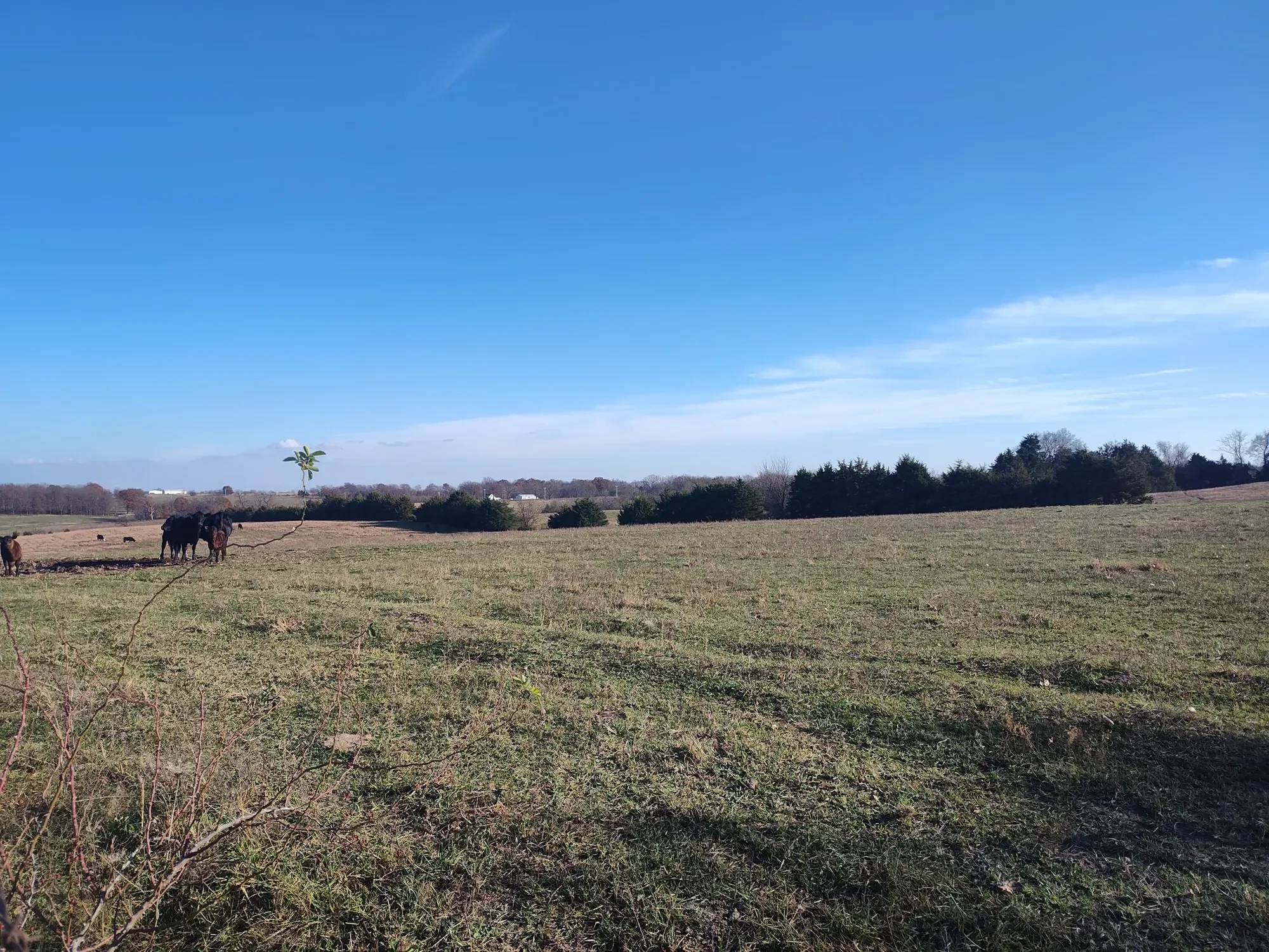 1672 E 355th Road, Bolivar, MO 65613, Pittsburg, Missouri, United States. - Photo 53