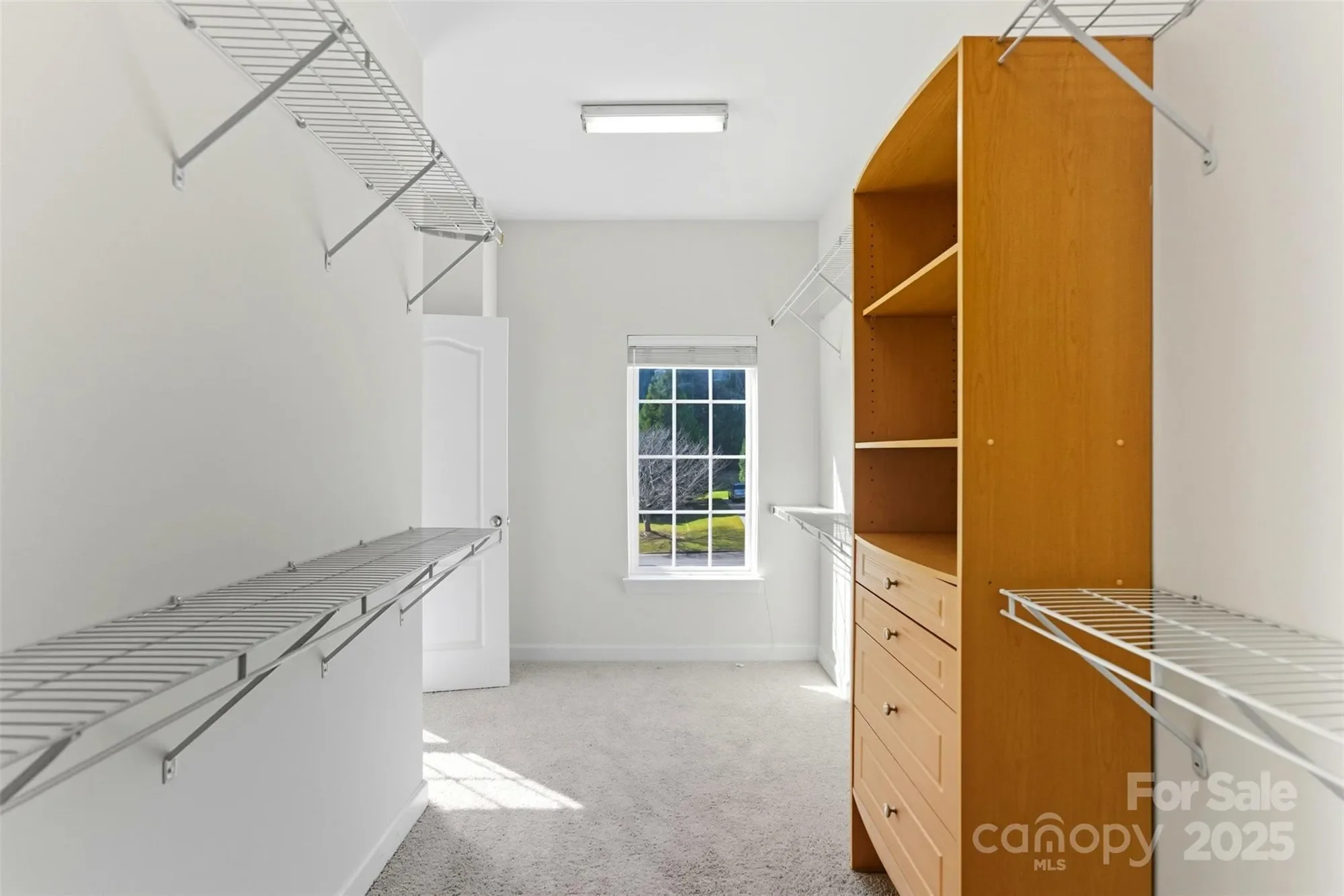Gallery photo 10