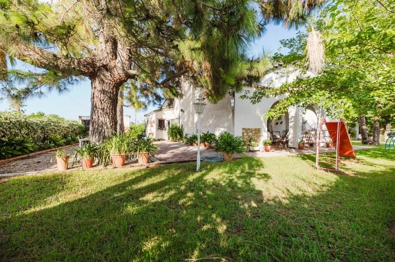 Dénia, Alicante, Dénia, Denia, Valencian Community, Spain. - Photo 19