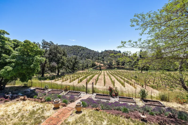 4084 Atlas Peak Road , Napa, CA 94558, Napa, California, United States. - Photo 31