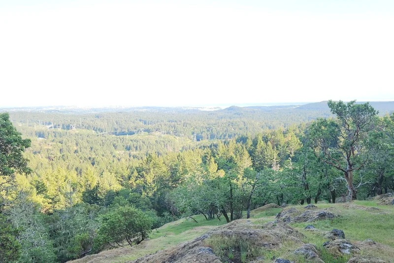 3975 Munn Road, Highlands, BC V9E 1C8, Victoria, British Columbia, Canada. - Photo 10
