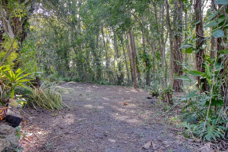 15715 Almondwood Dr, Tampa, FL 33613, Tampa, Florida, United States. - Photo 32