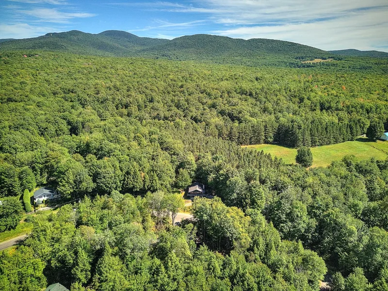 115 Rue du Domaine-Mon-Louis, Eastman, Quebec, Canada. - Photo 57