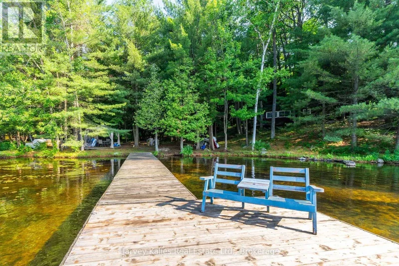1254 Barlochan Road, Muskoka Lakes (Wood (Muskoka Lakes)), ON, P1P1R2, CANADA, Gravenhurst, Ontario, Canada. - Photo 3