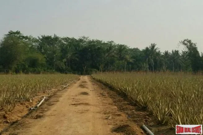 Prachuap Khiri Khan,, Thap Tai, Tanintharyi Region, Thailand. - Photo 2