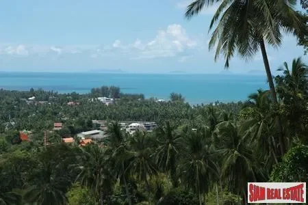 Surat Thani,, Ko Samui District, Thailand. - Photo 12