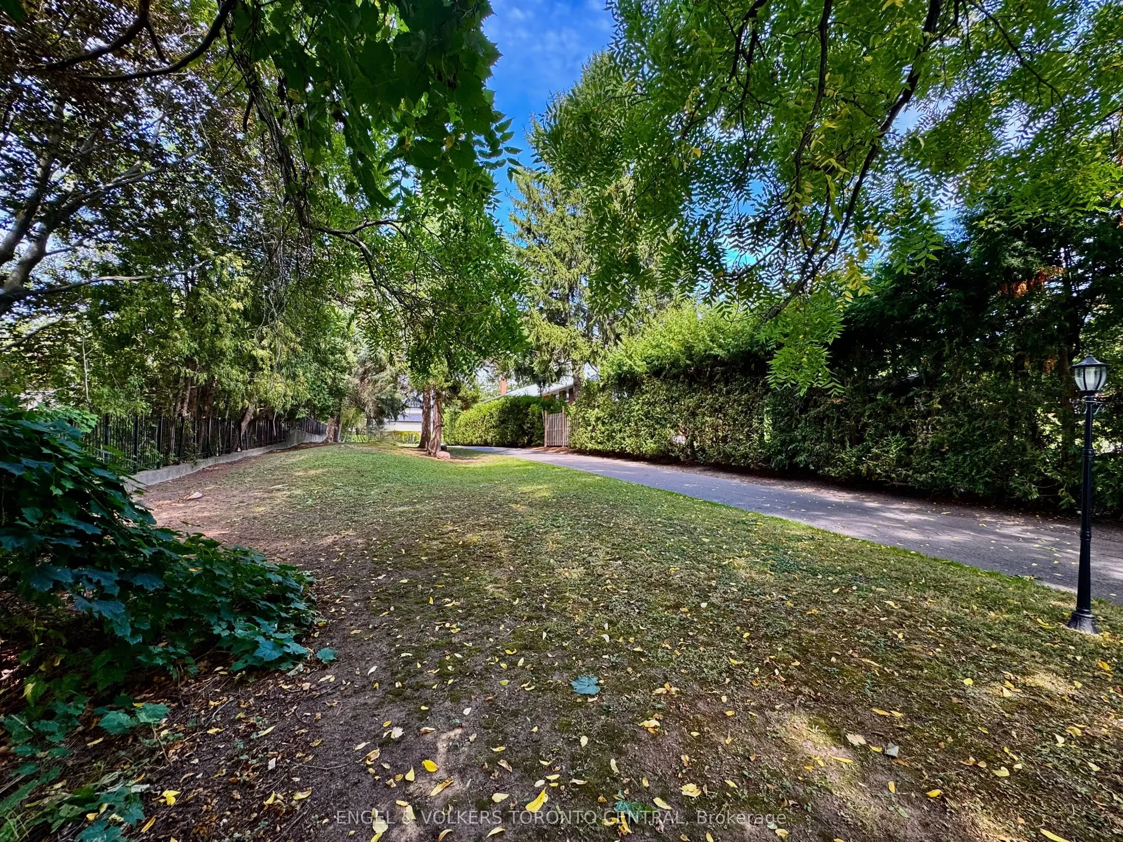 Gallery photo 12