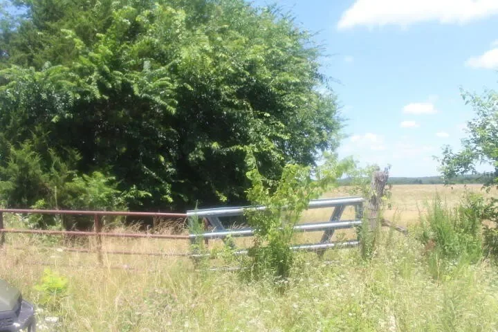 3176 S 170th Road, Polk, MO 65727, Bolivar, Missouri, United States. - Photo 7
