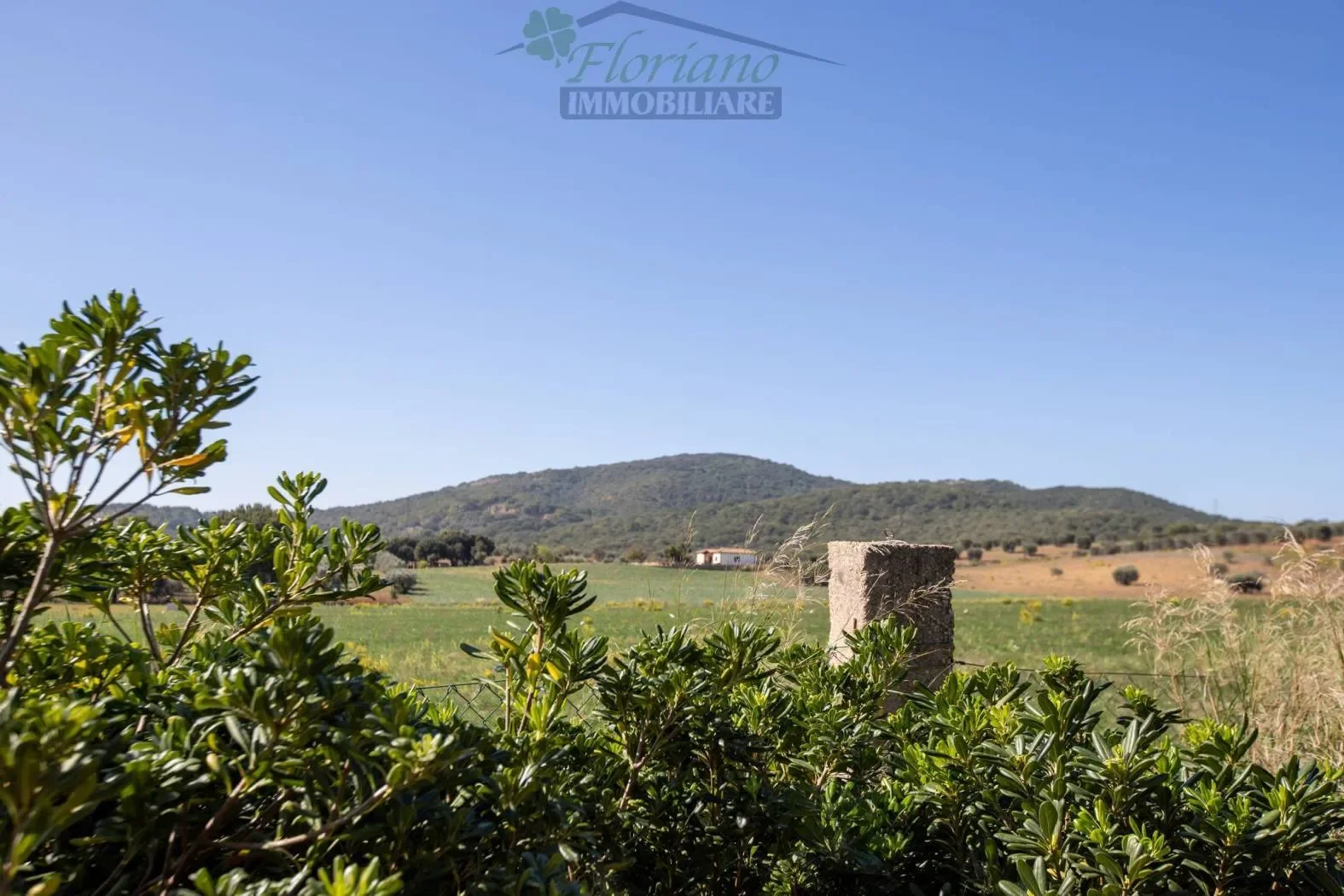 Strada Valmarina, Capalbio, Tuscany, Italy. - Photo 19