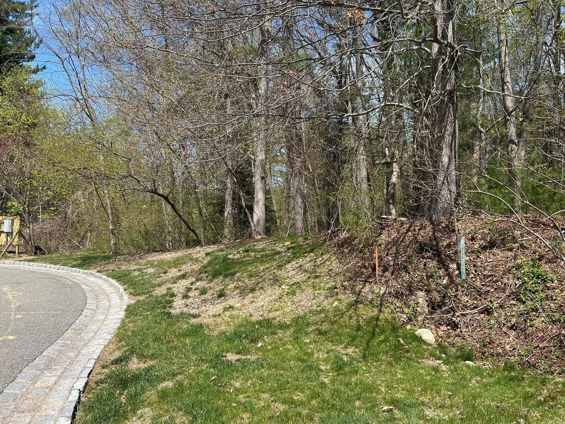 Gallery photo 2