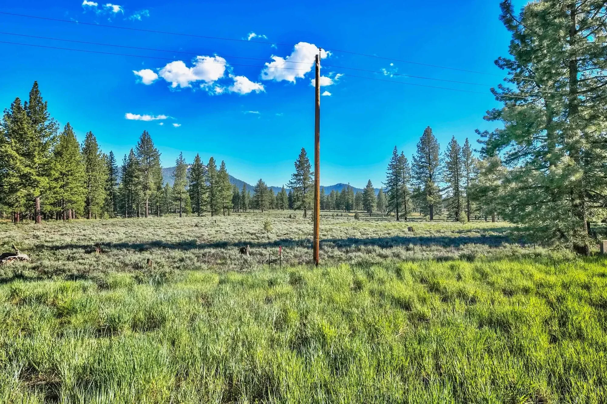 9701 Highway 267, Truckee, California, United States. - Photo 12
