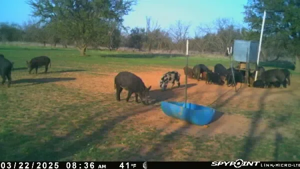 1712 Wells East Road W, Newcastle, TX 76372, Newcastle, Texas, United States. - Photo 33