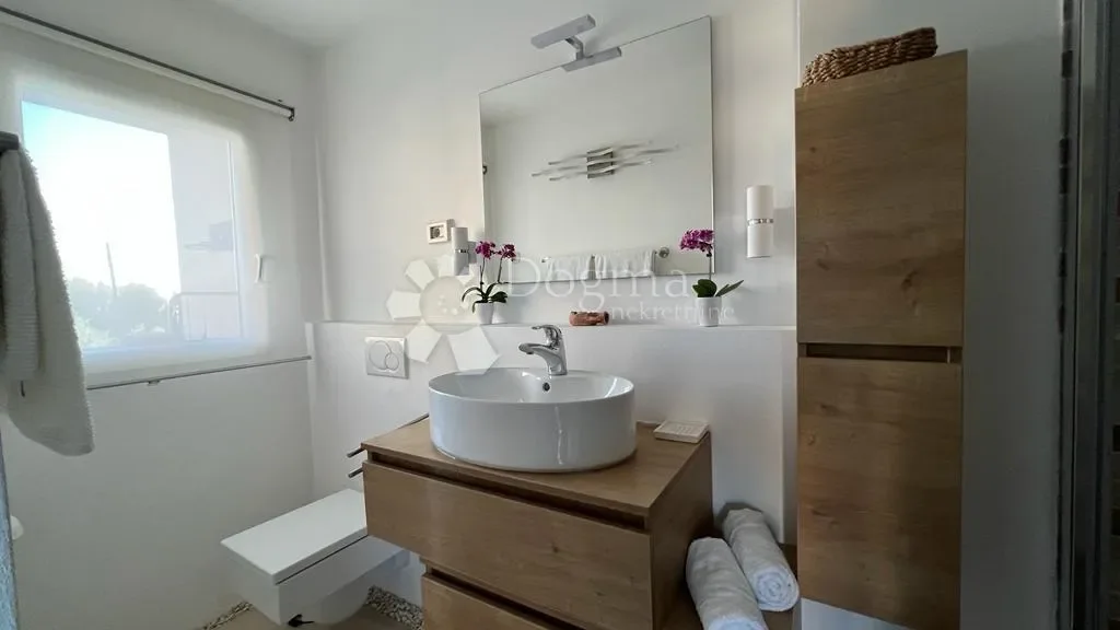Gallery photo 1