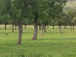 Ciudad Real, Spain, Ciudad Real, Castile-La Mancha, Spain. - Photo 4