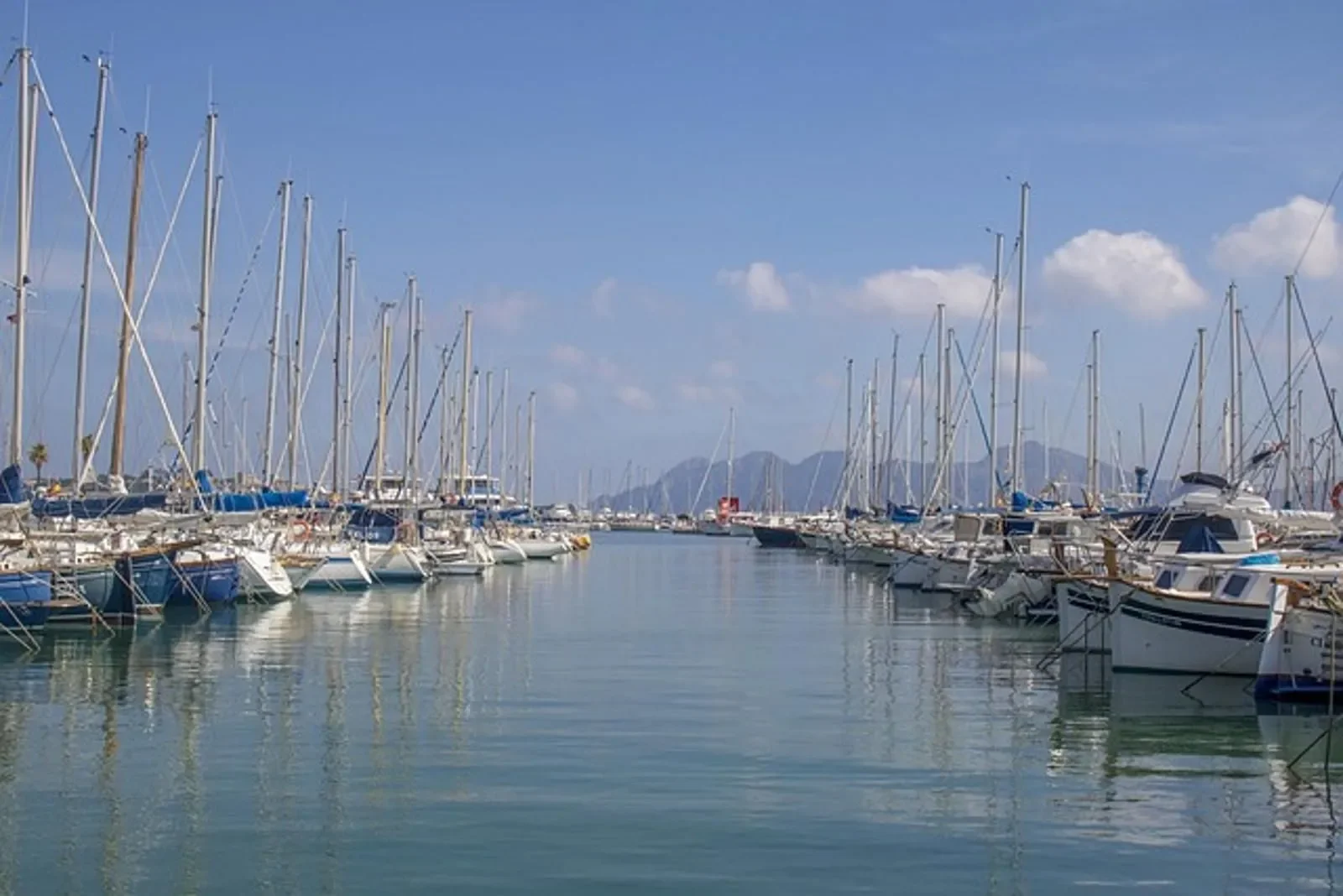 LLENAIRE, Port De Pollença, Baleares, Port De Pollença, Pollenca, Balearic Islands, Spain. - Photo 9