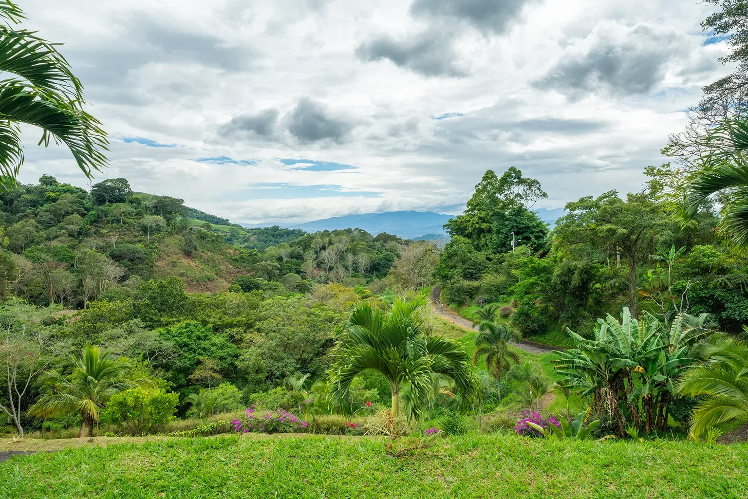 Alajuela Province, Atenas, Costa Rica, Atenas, Alajuela Province, Costa Rica. - Photo 32