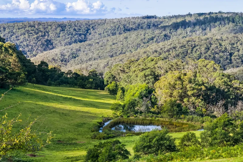 1639 Caoura Road, Tallong, NSW, Tallong, New South Wales, Australia. - Photo 5