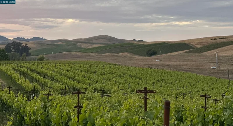 5267 Old Sonoma Rd, Napa, California, United States. - Photo 23