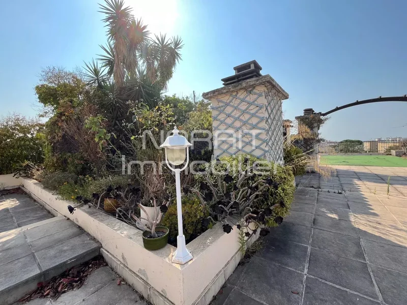 Nice Apartment