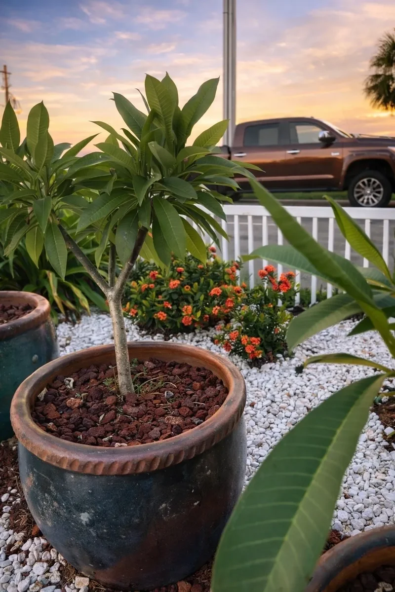 431 Hana Drive, Tiki Island, TX 77554, Galveston, Texas, United States. - Photo 15