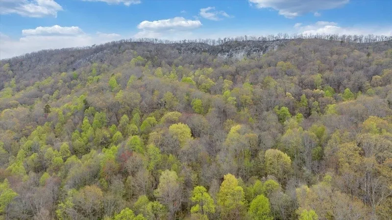TBD Parrott River Road, Parrott, VA 24132, Parrott, Virginia, United States. - Photo 10