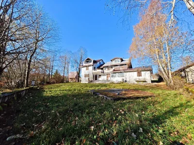Thumbnail 31