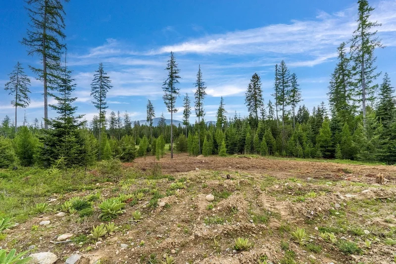 Lot10 BLK2 Leonard Loop, Athol, ID 83801, Moscow, Idaho, United States. - Photo 33