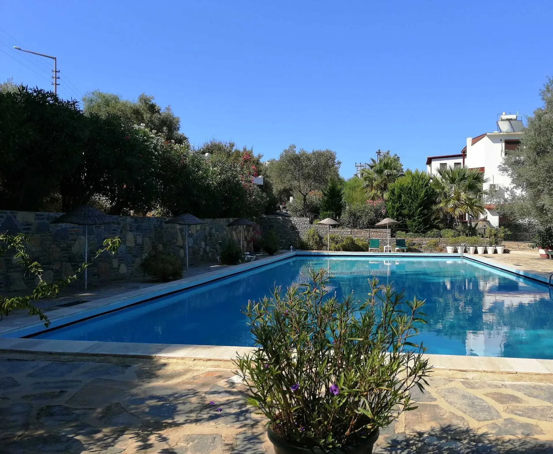 Torba, Bodrum, Torba, Muğla, Turkey. - Photo 14