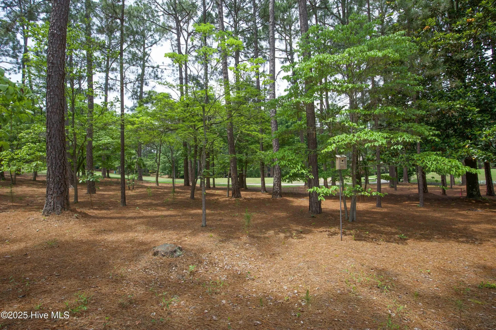 17 Troon Drive, Pinehurst, North Carolina, United States. - Photo 71