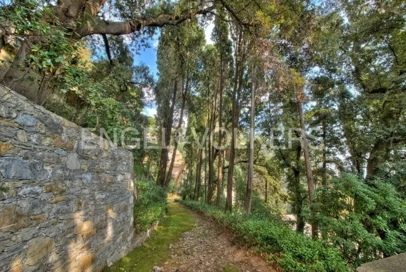 Gallery photo 2