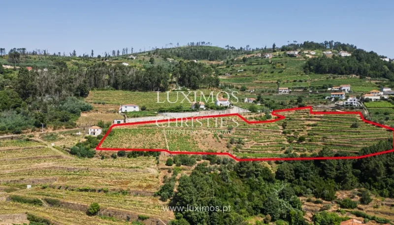 Vila Marim, VILA REAL, Vila Marim, Vila Real District, Portugal. - Photo 22