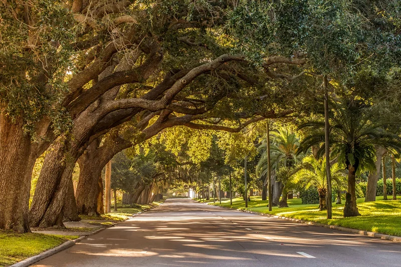 129 Cipriani Way, North Venice, FL 34275, Venice, Florida, United States. - Photo 50