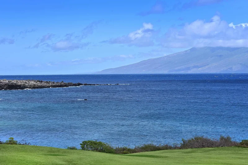 71 Ironwood Ln, Lahaina, HI 96761, Lahaina, Hawaii, United States. - Photo 28