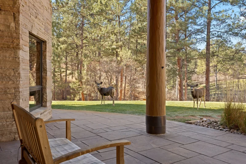 6833 Yampa Drive , Larkspur, CO 80118, Larkspur, Colorado, United States. - Photo 31