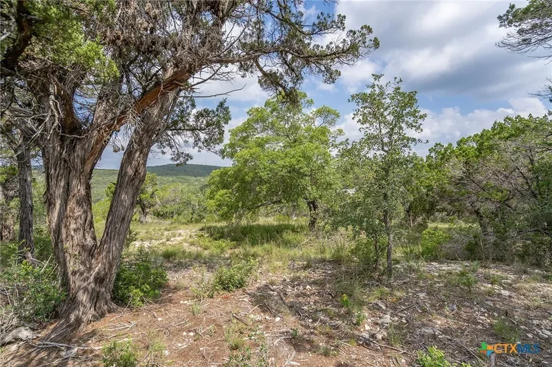 19705 Tyler Trail, Jonestown, TX 78645, Jonestown, Texas, United States. - Photo 26