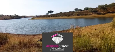 Thumbnail 19
